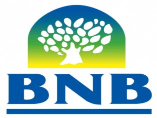 15 BNB Limegrove logo.jpg